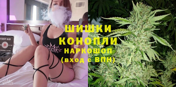 ГАЛЛЮЦИНОГЕННЫЕ ГРИБЫ Пестово