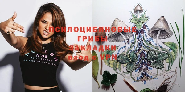 марки lsd Пересвет
