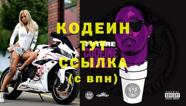 ГАЛЛЮЦИНОГЕННЫЕ ГРИБЫ Пестово
