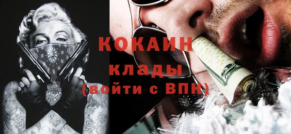 ГАЛЛЮЦИНОГЕННЫЕ ГРИБЫ Пестово