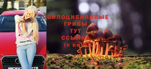 ГАЛЛЮЦИНОГЕННЫЕ ГРИБЫ Пестово