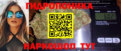 гидра Кунгур