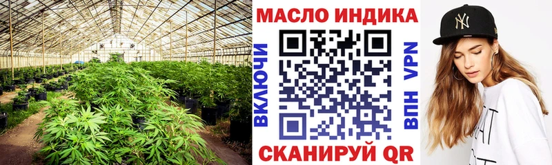 блэк спрут ССЫЛКА Славгород ТГК THC oil продажа наркотиков