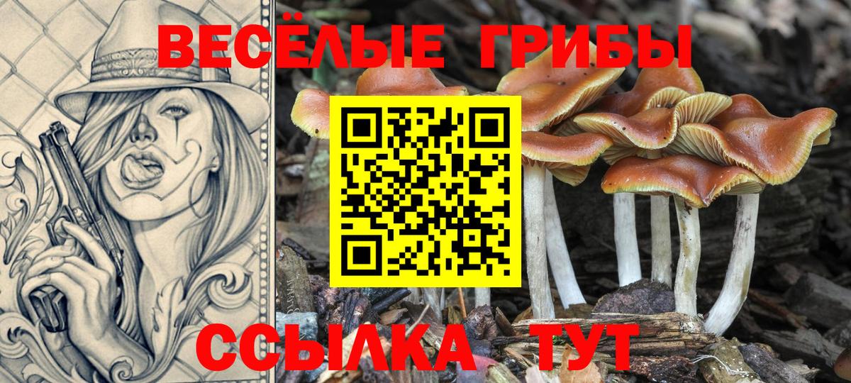 Галлюциногенные грибы Magic Shrooms Славгород