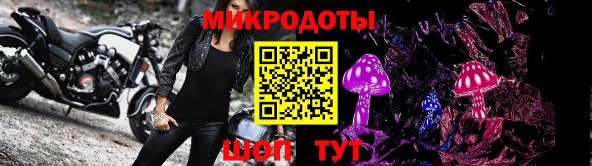 Галлюциногенные грибы Psilocybine cubensis  Вход с VPN  Славгород 